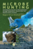 Microbe Hunting: Unveiling the Secrets of Microorganisms through Assessment, Sequencing, and Bioinformatics Analysis