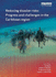 Reducing Disaster Risks: Progress and Challenges in the Caribbean Region