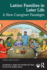 Latino Families in Later Life: A New Caregiver Paradigm