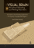 The Visual Brain and Peripheral Reading and Writing Disorders: A Guide to Visual System Dysfunction for Speech-Language Pathologists
