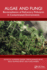 Algae and Fungi: Bioremediation of Refractory Pollutants in Contaminated Environments