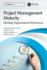 Project Management Maturity: Elevating Organizational Performance