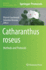 Catharanthus Roseus