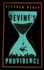 Devine's Providence