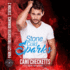 Stone Cold Sparks (the Park City Firefighter Romance Series)