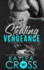 Stealing Vengeance