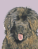 Journal: Beautiful Newfoundland Dog Notebook Wide Ruled