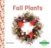 Fall Plants