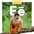 Ee (Vowel Blends)
