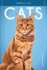Cats (Essential Pets)