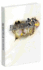 Final Fantasy Type 0-Hd: Prima Official Game Guide (Prima Official Game Guides)