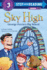 Sky High: George Ferris's Big Wheel (Step Into Reading)
