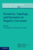 Geometry, Topology, and Dynamics in Negative Curvature (London Mathematical Society Lecture Note Series, Series Number 425)