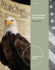 Constitutional Interpretation