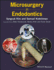 Microsurgery in Endodontics