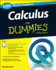 1, 001 Calculus Practice Problems for Dummies