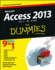 Access 2013 All-in-One for Dummies