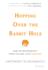 Hopping Over the Rabbit Hole: How Entrepreneurs Turn Failure Into Success