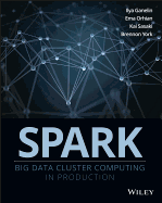 Professional Spark: Big Data Cluster Computing in Production