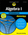 Algebra I Workbook for Dummies