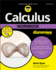 Calculus Workbook for Dummies With Online Practice