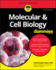 Molecular & Cell Biology for Dummies, 2nd Edition