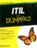 Itil for Dummies 2011 (for Dummies (Lifestyles Paperback))