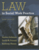 Law in Social Work Practice