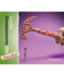 Adobe Dreamweaver Cs6 Revealed; 9781133693208; 1133693202