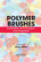 Polymer Brushes