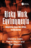 Risky Work Environments: Reappraising Human Work Within Fallible Systems