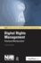 Digital Rights Management: Protecting and Monetizing Content