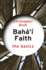 Baha'I Faith: the Basics