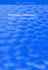 Chlorinated Insecticides: Biological and Environmental Aspects Volume II