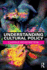 Understanding Cultural Policy (Discovering the Creative Industries)