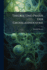 Theorie Und Praxis Der Grossgasindustrie