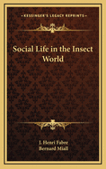 Social Life in the Insect World