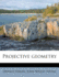 Projective Geometry