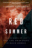Red Summer: the Summer of 1919 and the Awakening of Black America