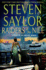 Raiders of the Nile: a Novel of the Ancient World