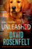 Unleashed: an Andy Carpenter Mystery (an Andy Carpenter Novel)
