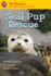 Seal Pup Rescue (My Readers)