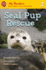 Seal Pup Rescue (My Readers)