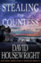 Stealing the Countess: a McKenzie Novel (Twin Cities P.I. Mac McKenzie Novels)
