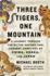 Three Tigers, One Mountain: a Journey Through the Bitter History and Current Conflicts of China, Korea, and Japan