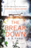 The Breakdown: a Novel