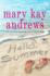 Hello, Summer: a Novel