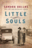Little Souls: a Novel