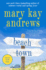 Beach Town: a Novel