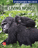 Loose Leaf for the Living World